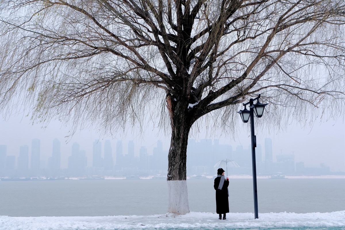 雪后江边一棵树风景
