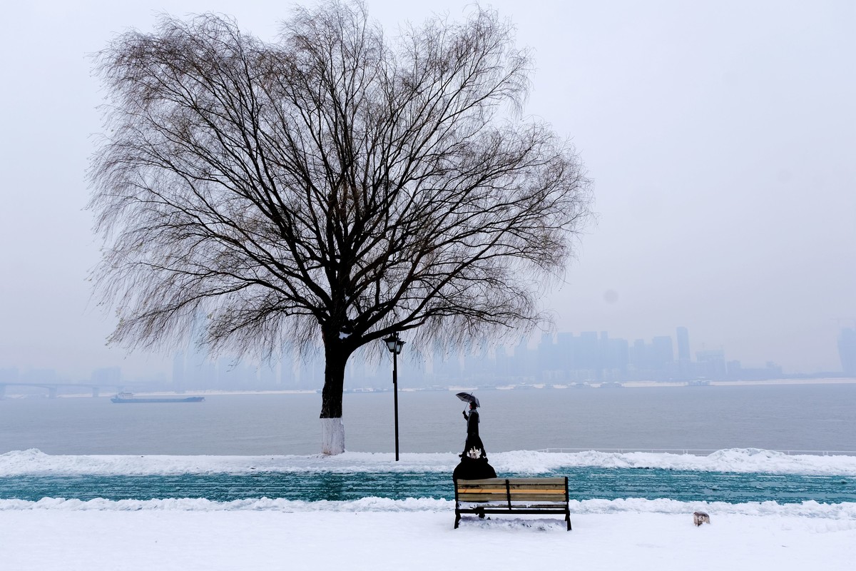 雪后江边一棵树风景
