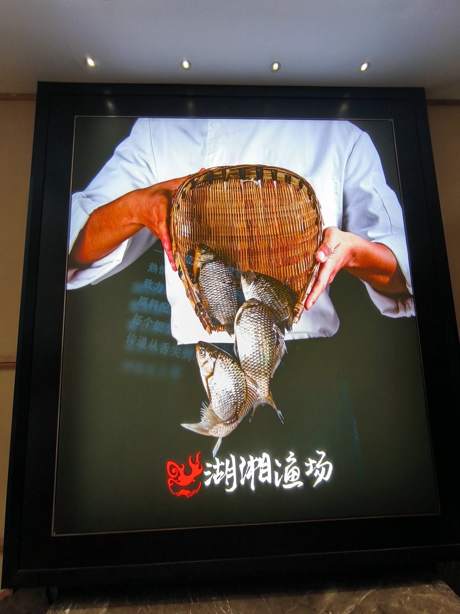 漫步星城 走街串巷（443）平价鱼市