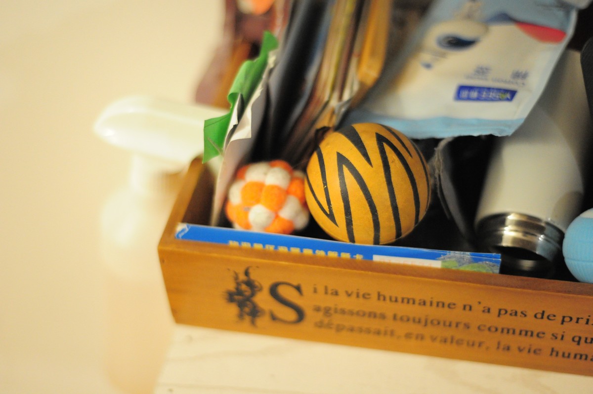 新入尼康d3s试镜