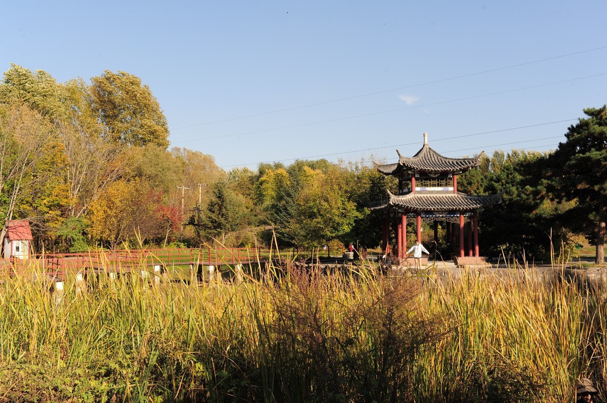 新入尼康d3s试镜