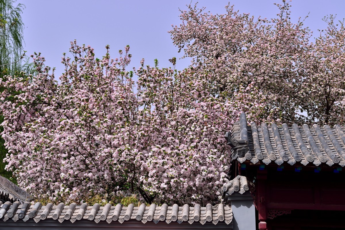 【视觉光影】 打 卡 五 龙 潭