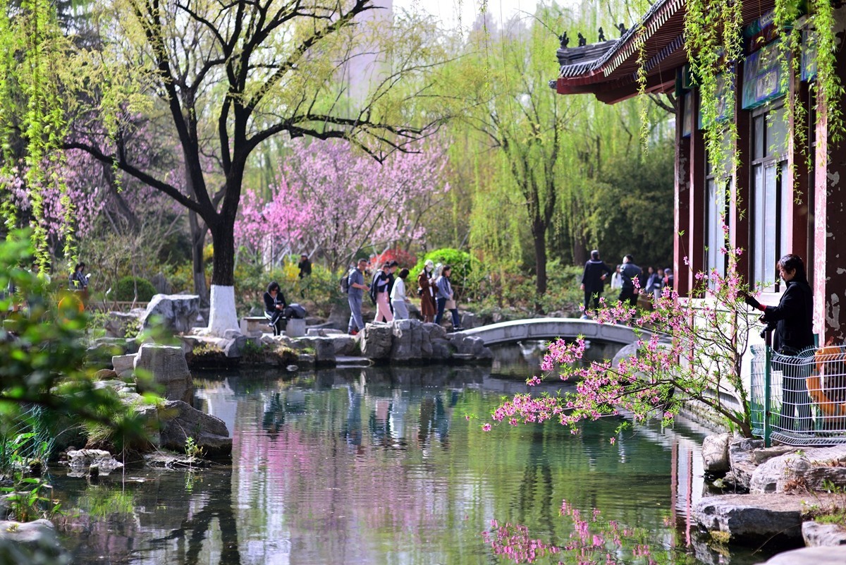 【视觉光影】 打 卡 五 龙 潭