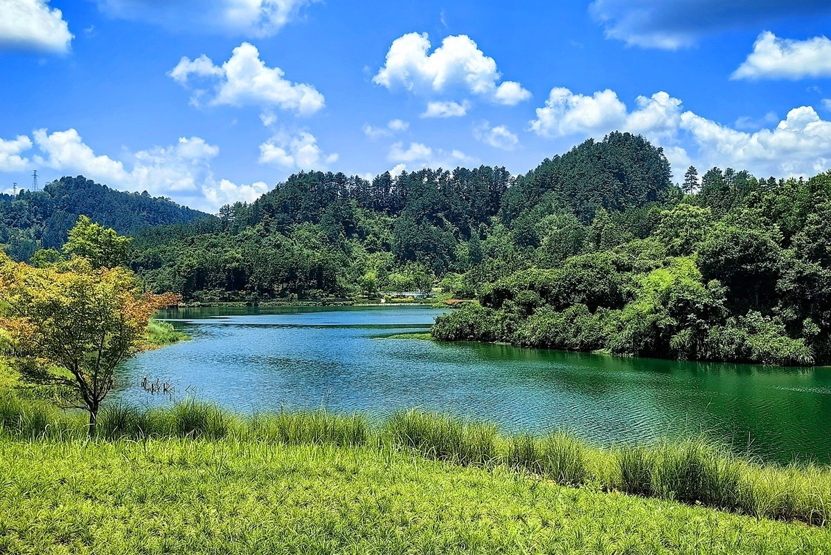 贵州绿博园手机版