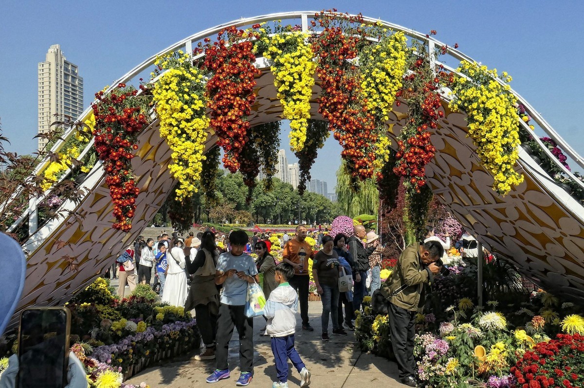 武汉江滩菊花展一