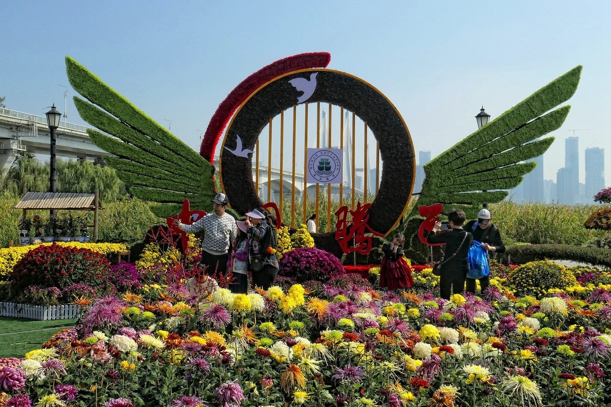 武汉江滩菊花展一