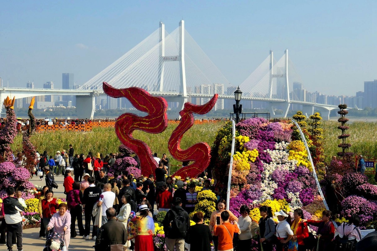 武汉江滩菊花展一