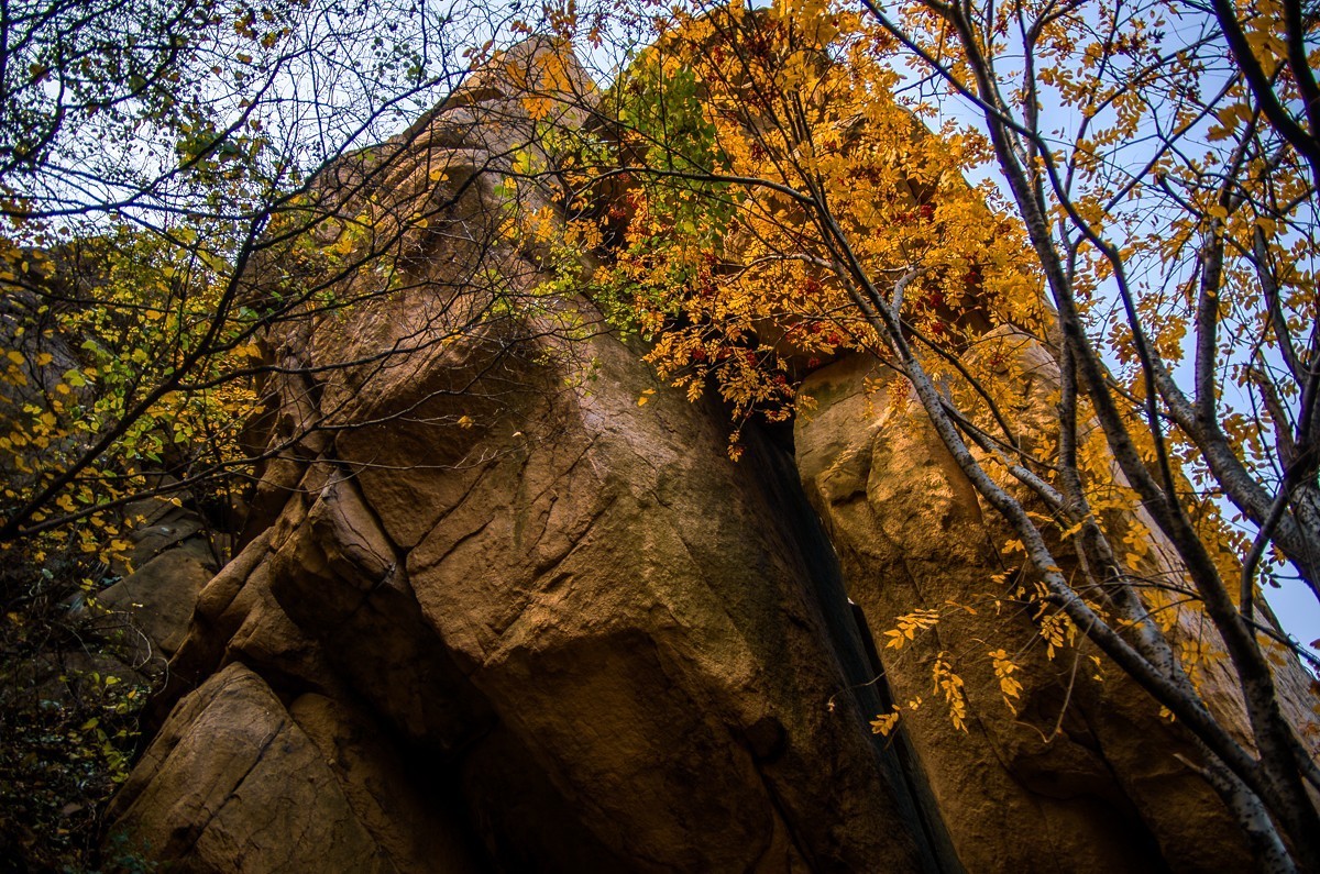 秋山旧图（和一些心事）