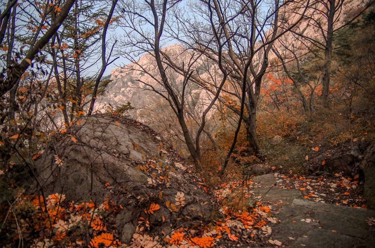 秋山旧图（和一些心事）