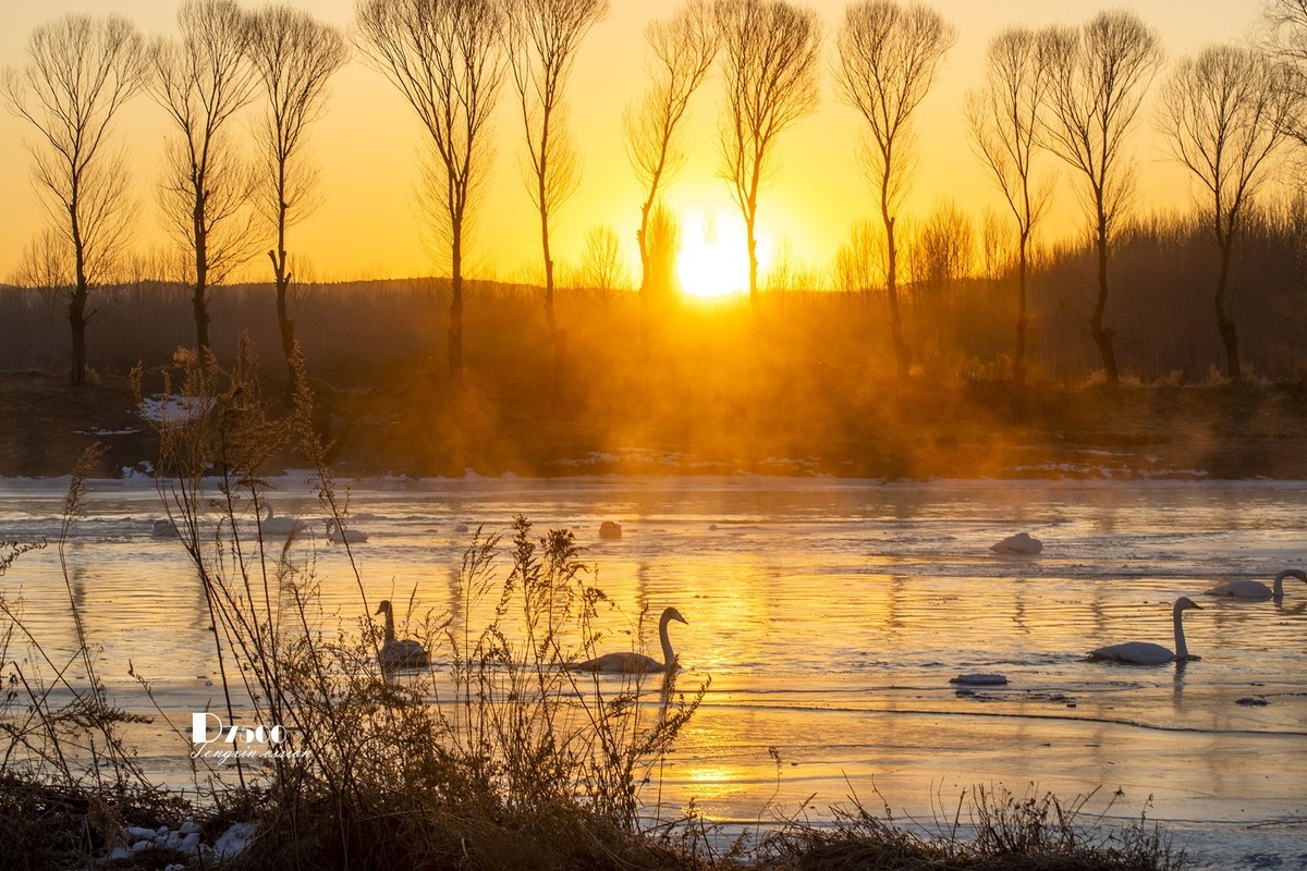 北票杨柳湾（40）