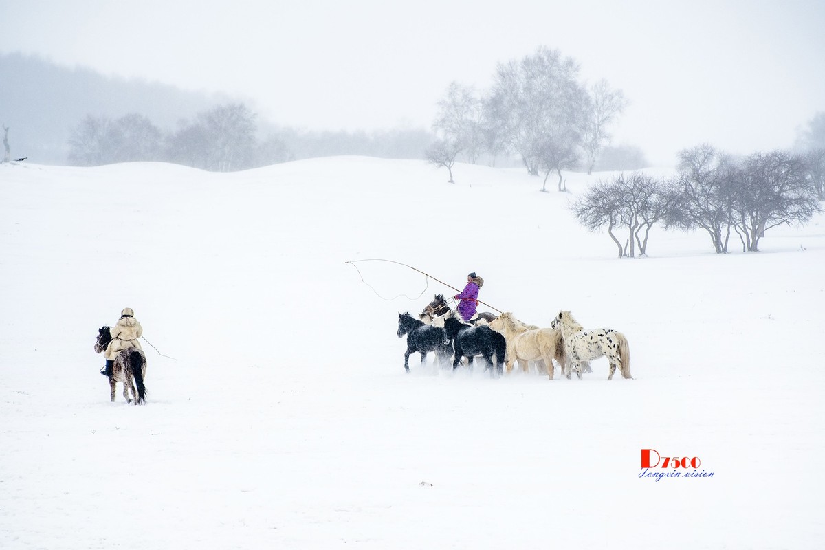 风雪画中人（36）