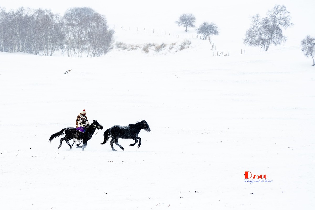 风雪画中人（36）