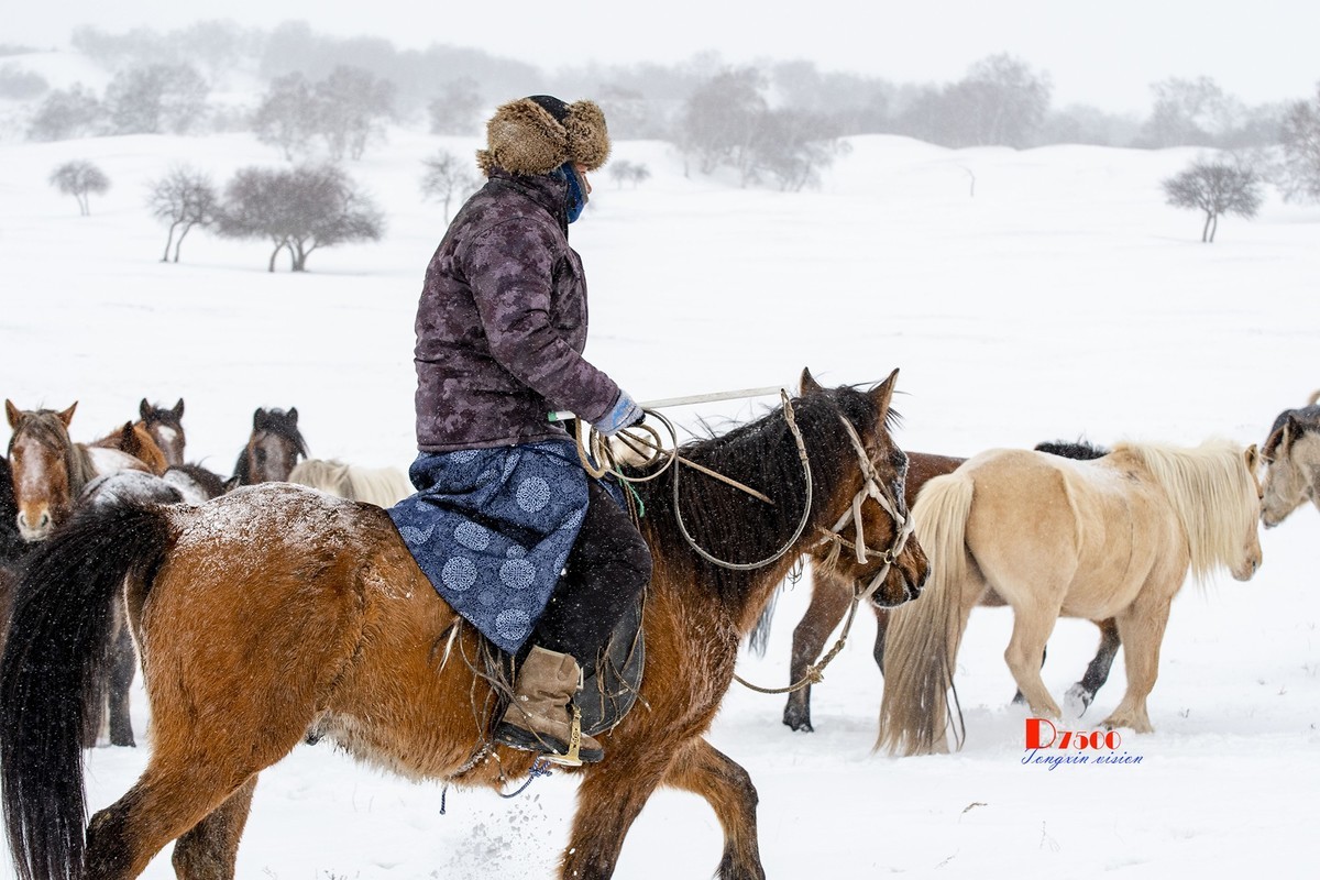 风雪画中人（36）