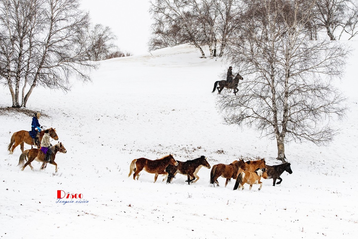 风雪画中人（36）