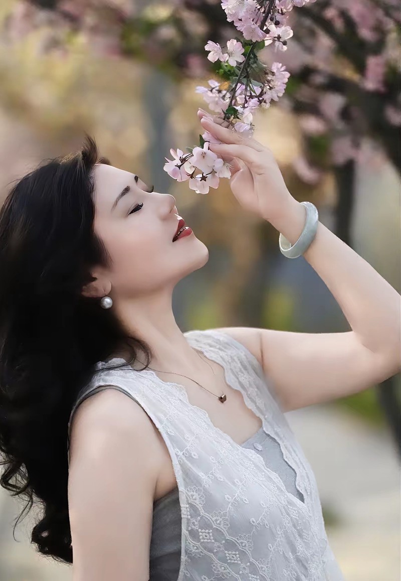 樱花之美