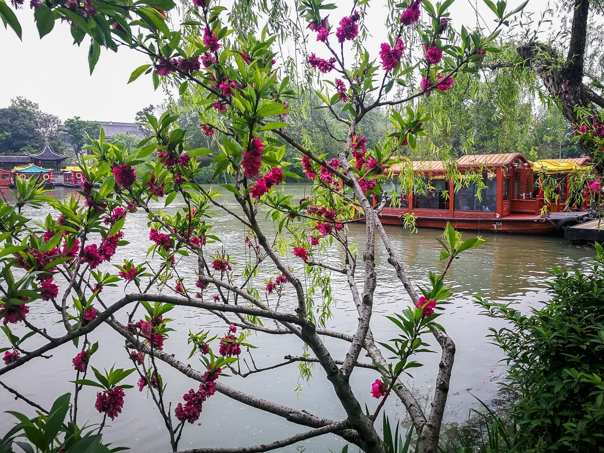 扬州瘦西湖掠影