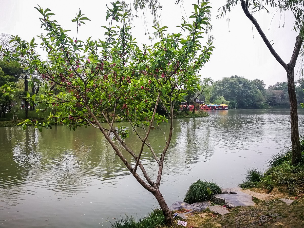 扬州瘦西湖掠影
