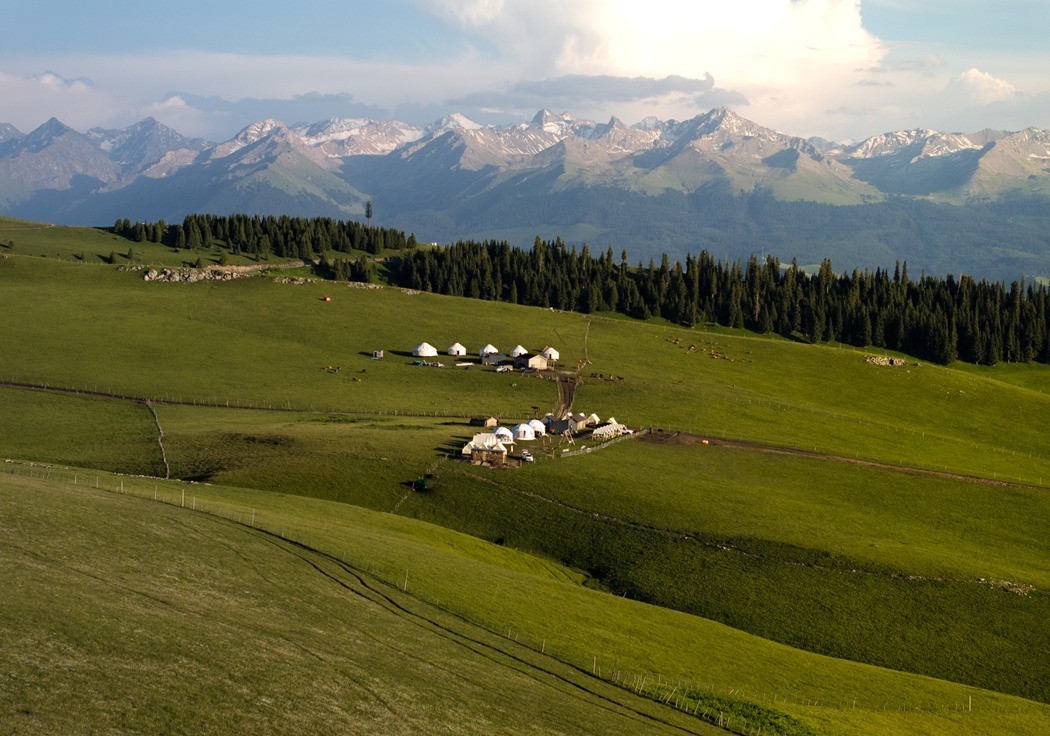 哈萨克的绿毯天边、