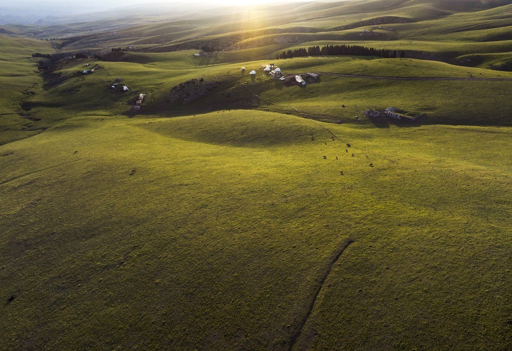 哈萨克的绿毯天边、
