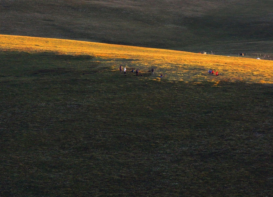 哈萨克的绿毯天边、