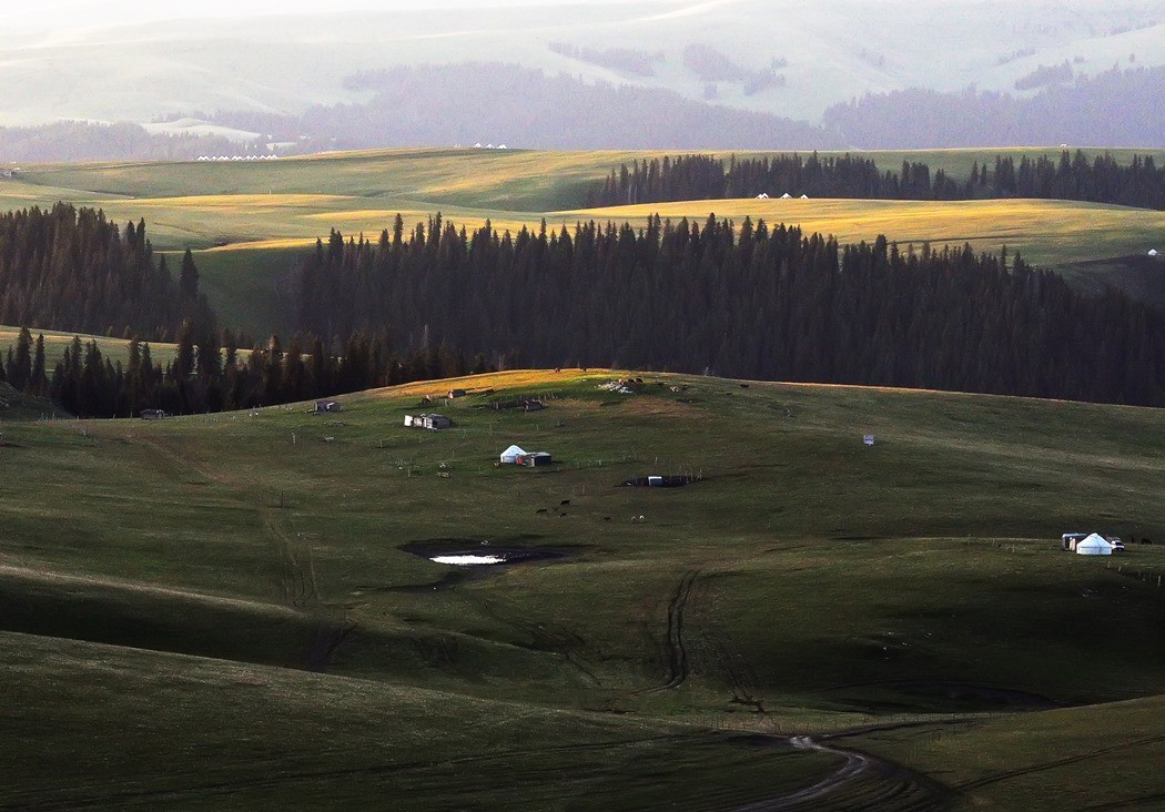 哈萨克的绿毯天边、