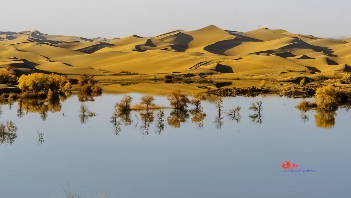 南疆行——尉犁葫芦岛的风景（4）