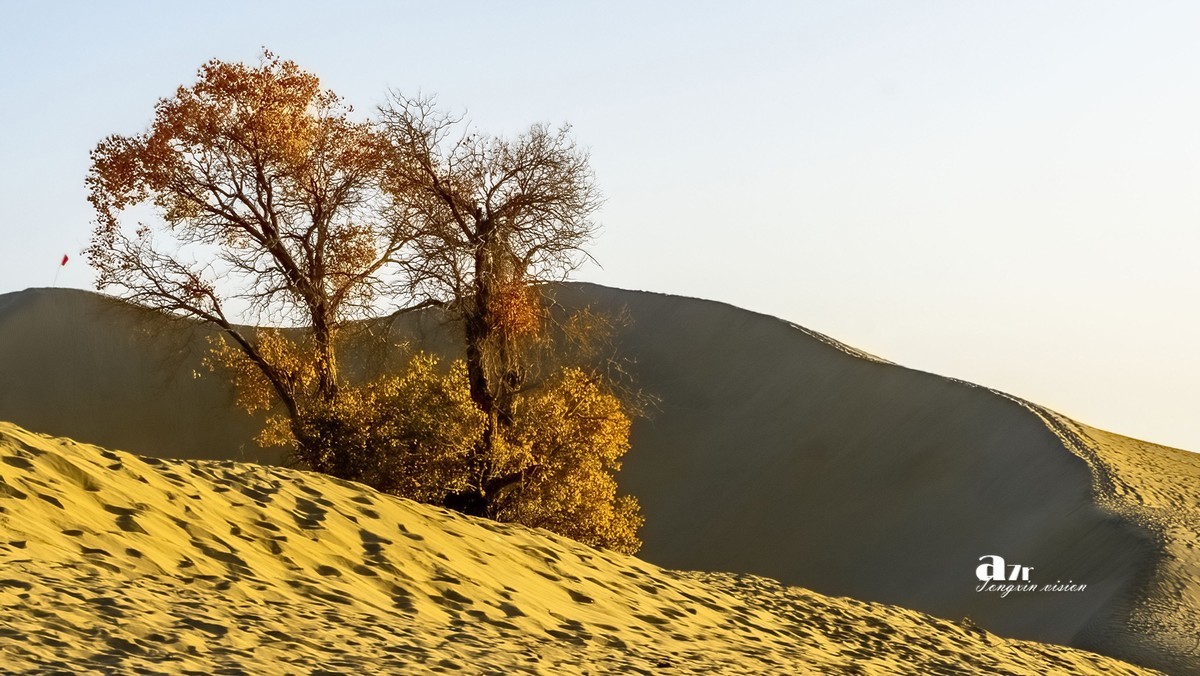 南疆行——尉犁葫芦岛的风景（4）