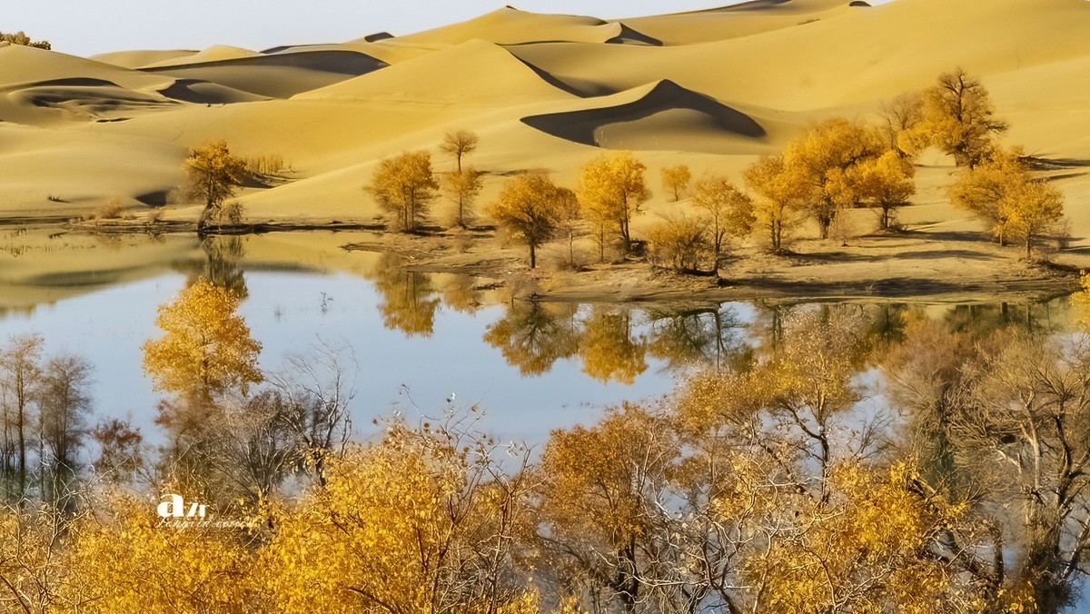 南疆行——尉犁葫芦岛的风景（4）