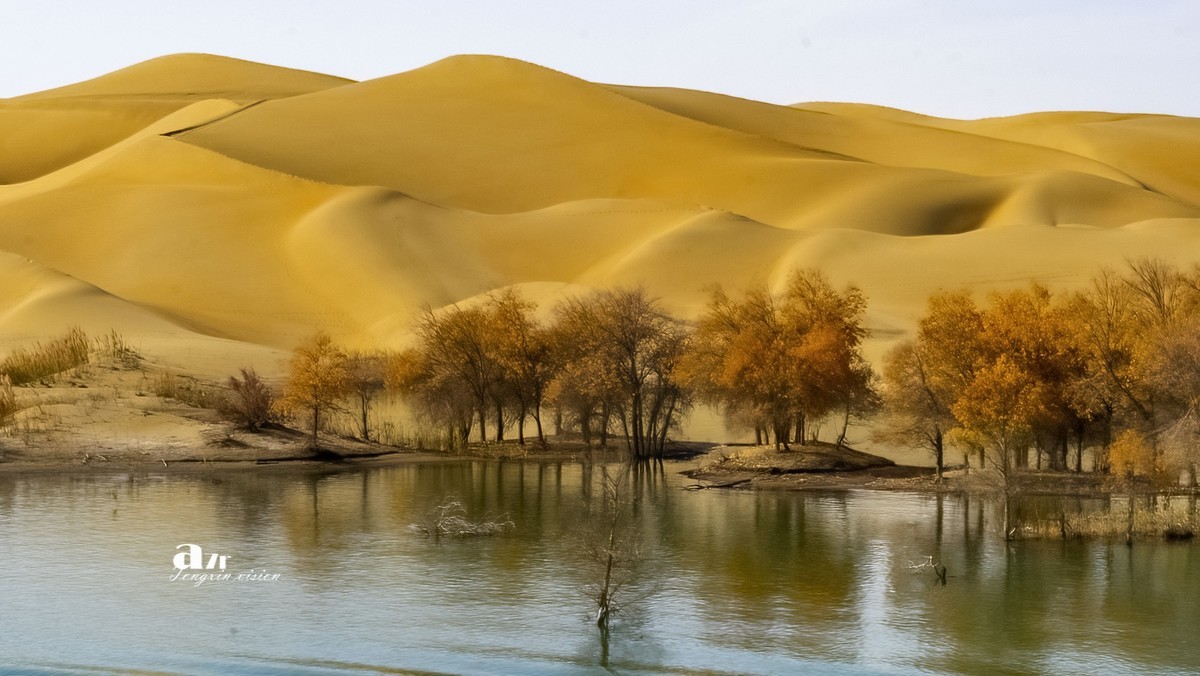 南疆行——尉犁葫芦岛的风景（4）