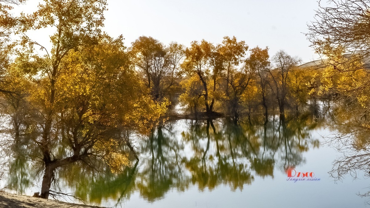 南疆行——尉犁葫芦岛的风景（4）