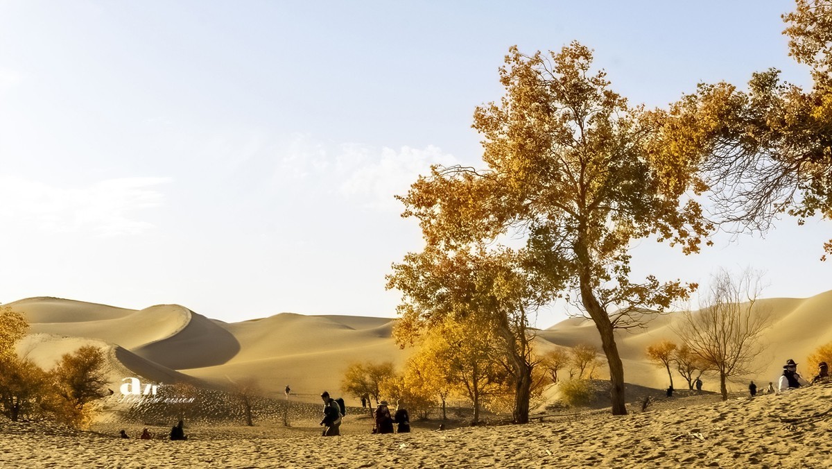 南疆行——尉犁葫芦岛的风景（4）
