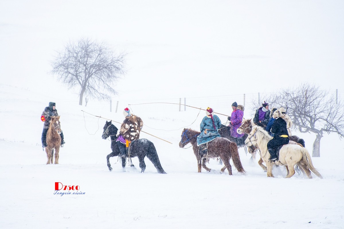 强健&靓丽的牧马人（70）