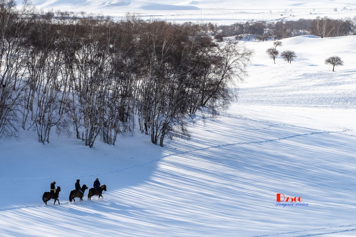 强健&靓丽的牧马人（70）