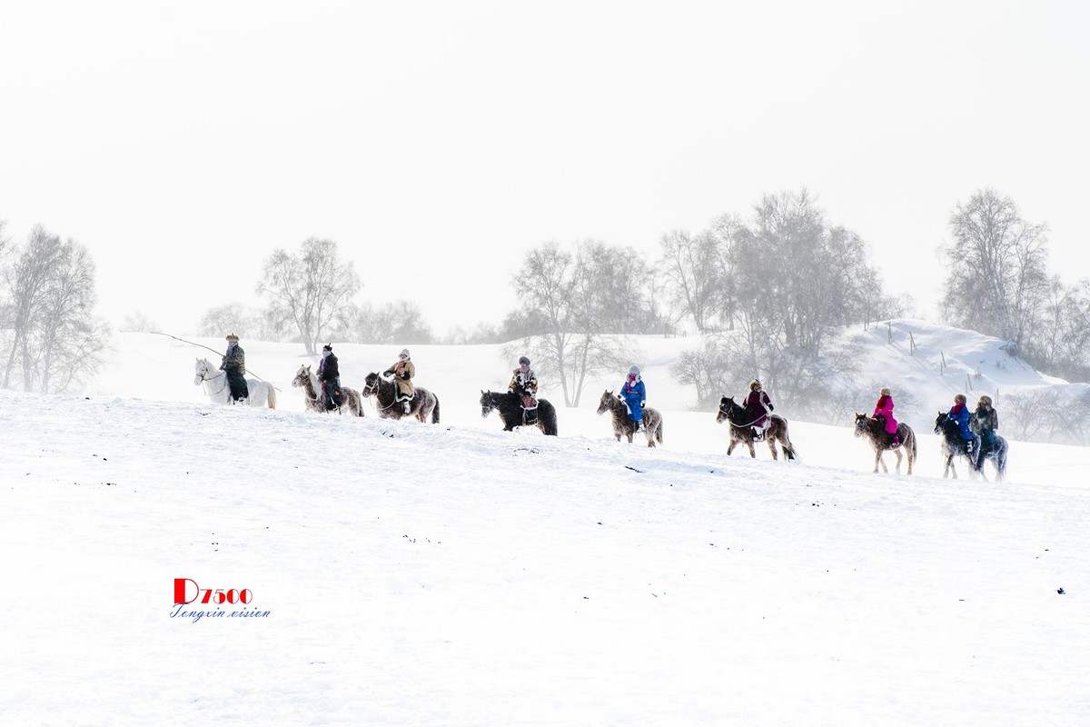 强健&靓丽的牧马人（70）