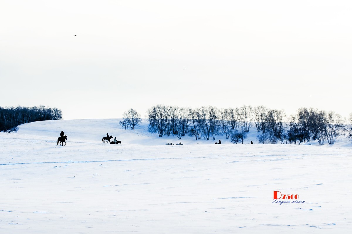 强健&靓丽的牧马人（70）