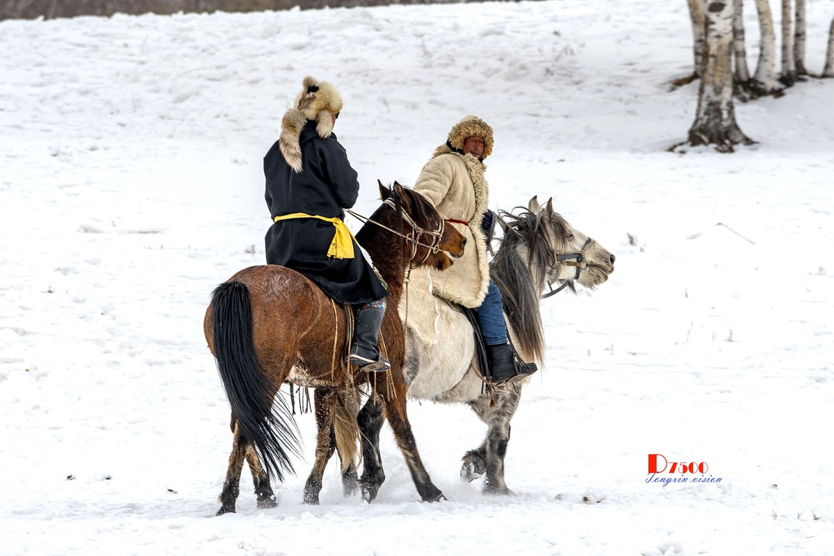 强健&靓丽的牧马人（70）