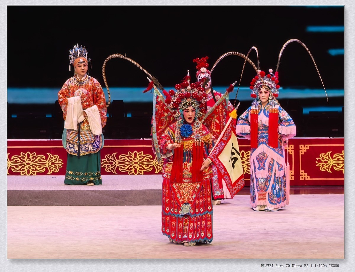 看戏【乙巳年-160】