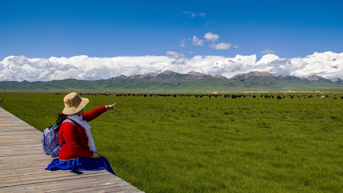 若尔盖草原--花湖【2】