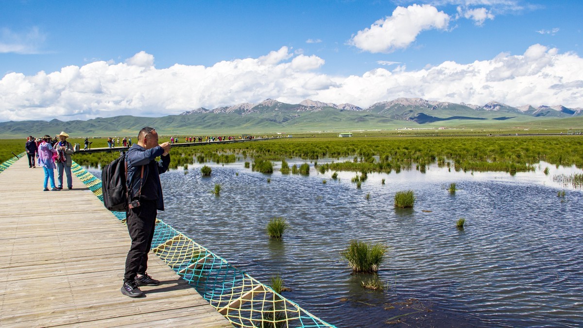若尔盖草原--花湖【2】