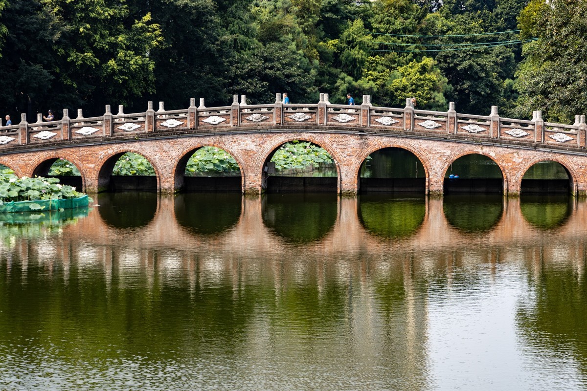 佛山中山公园(三)-中关村在线摄影论坛