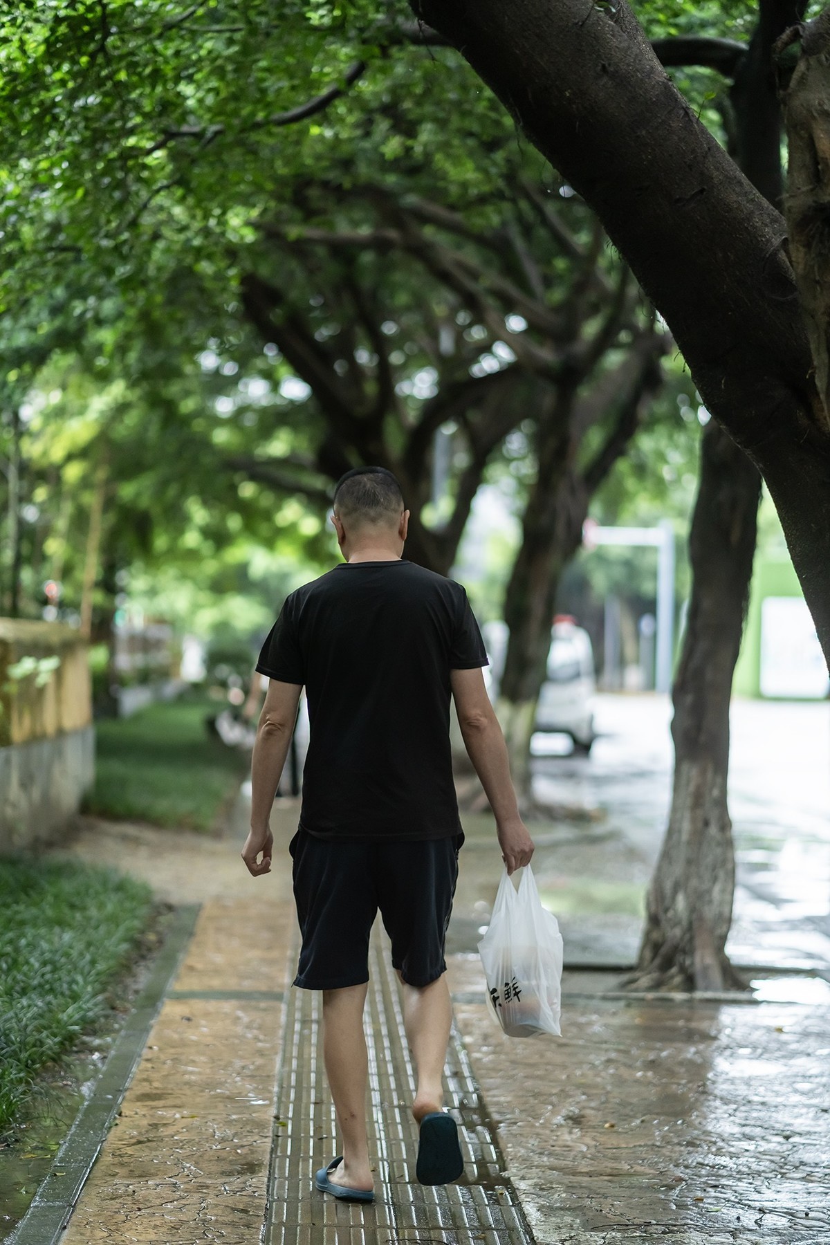 Sony  FE85  f1.8  试镜