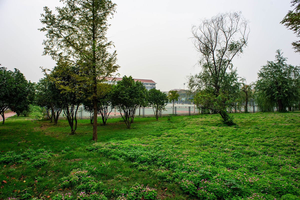 华中农业大学拾景