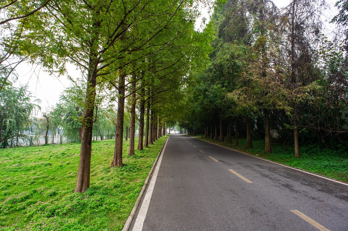华中农业大学拾景