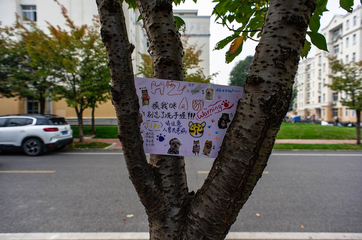 华中农业大学拾景