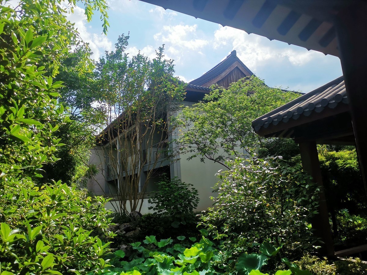 徽州宏村欢迎您：“遥遥领先”宏村手机随拍（就在塔川附近）