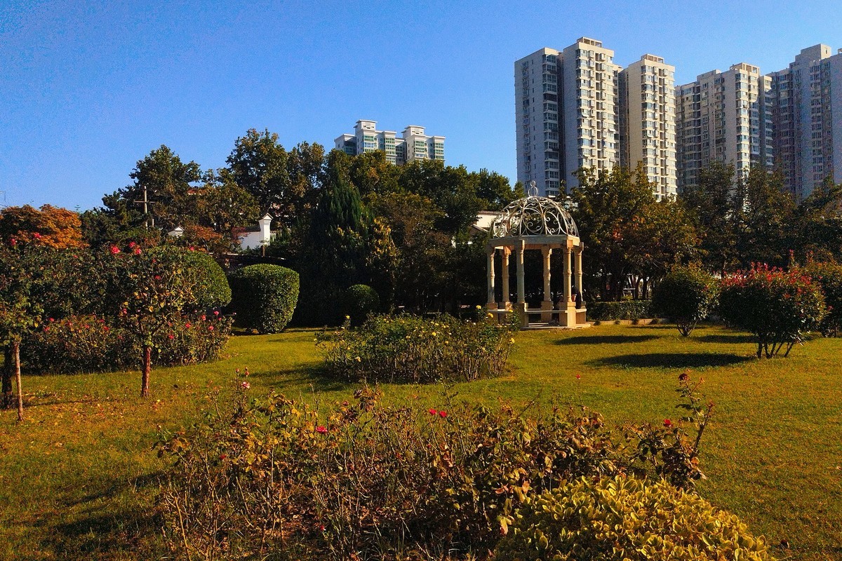 秋天里的花卉园