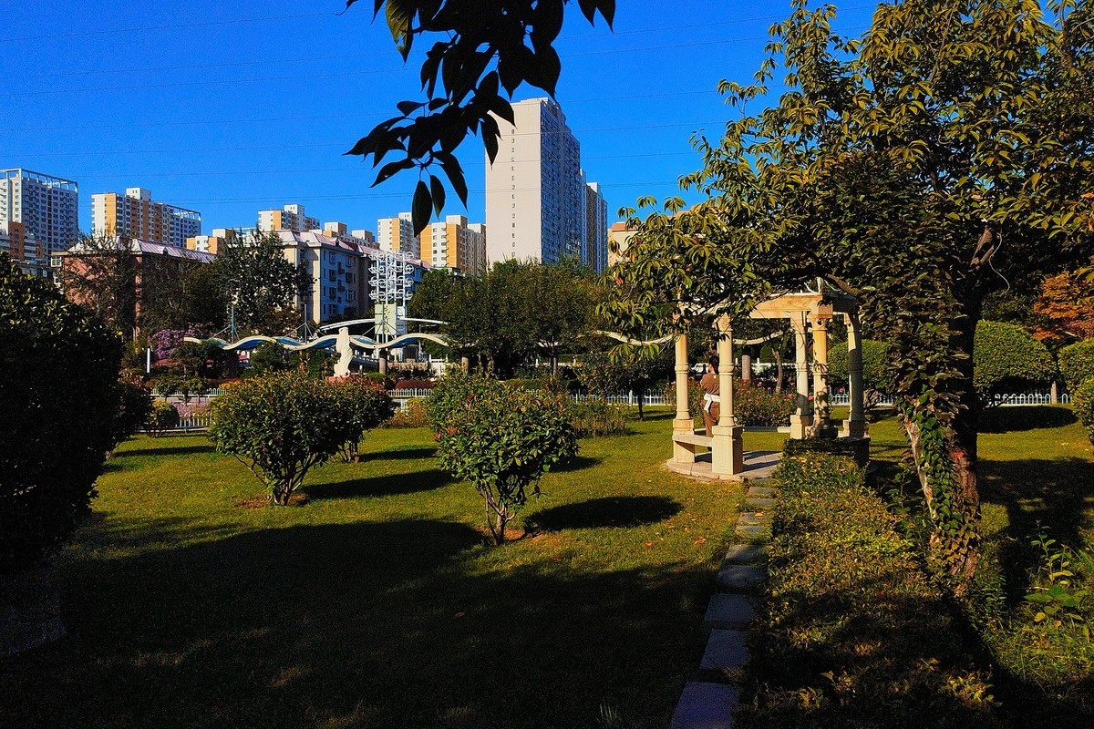 秋天里的花卉园