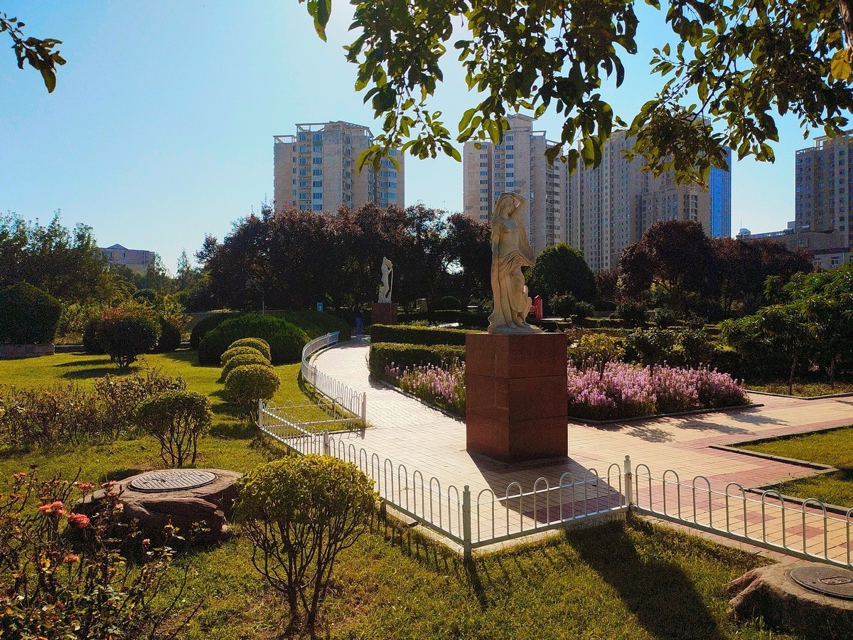 秋天里的花卉园