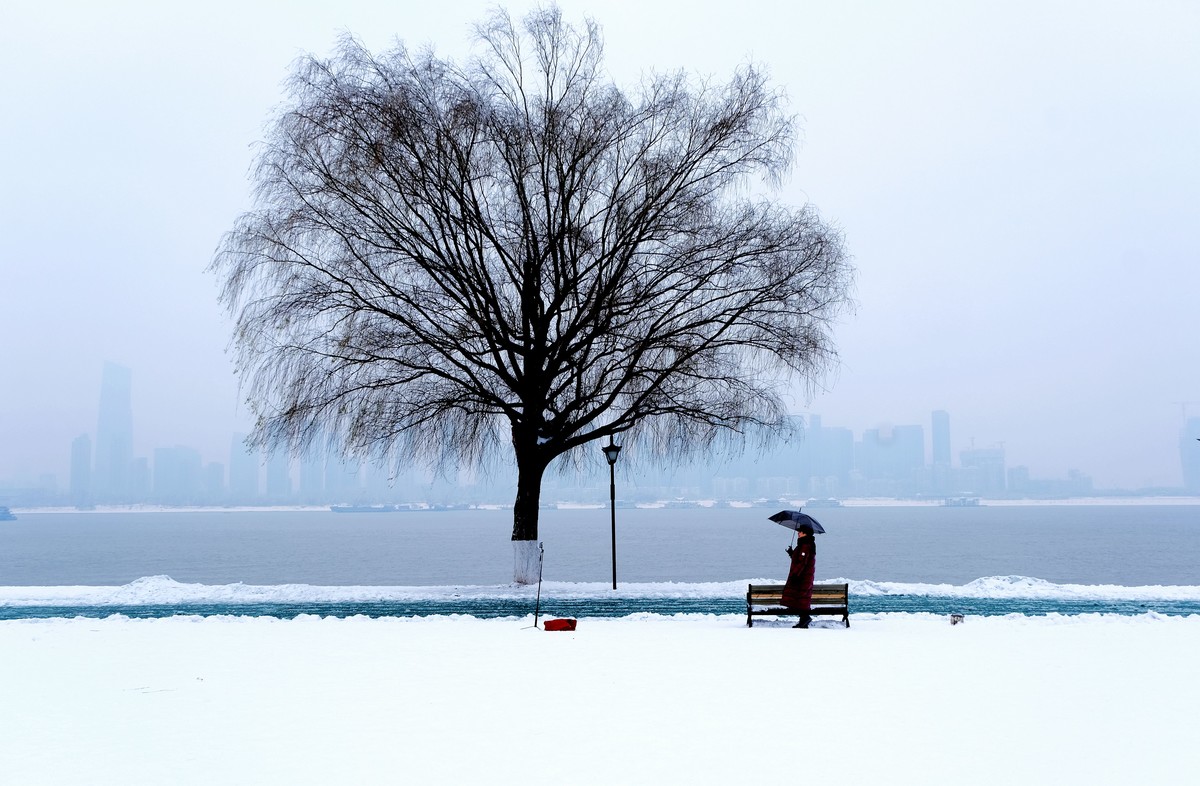 雪后江边一棵树风景