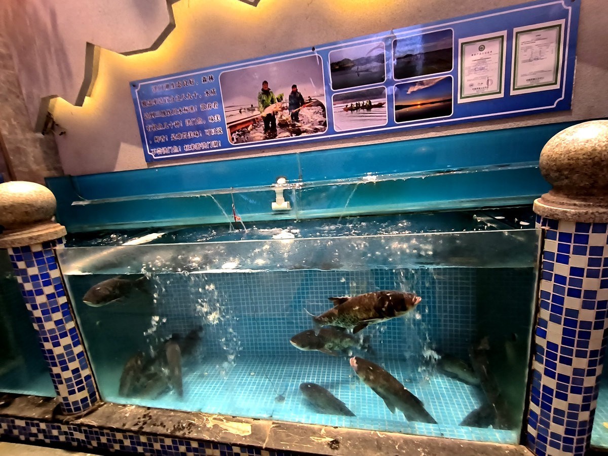 漫步星城 走街串巷（443）平价鱼市